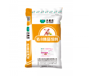无豆仔猪宝